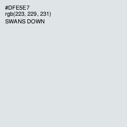 #DFE5E7 - Swans Down Color Image